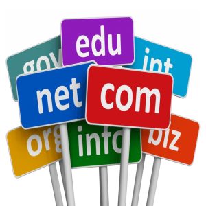 Domain Name URL (Annual)