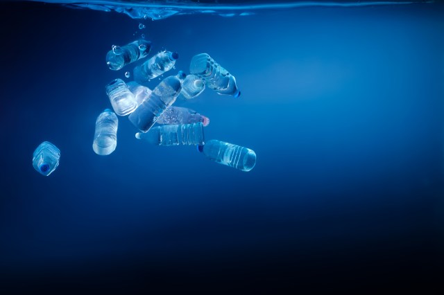 Sophos Supports this Year’s Planet vs. Plastics Campaign – Sophos News